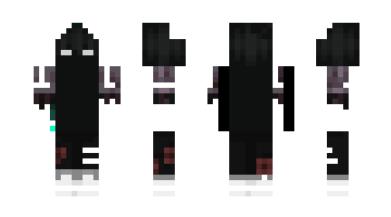 Skin MunisX2