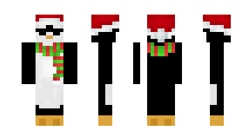 Скин NoiTi