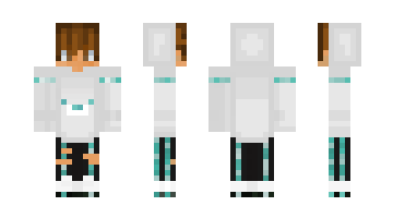 Скин NylePlayz