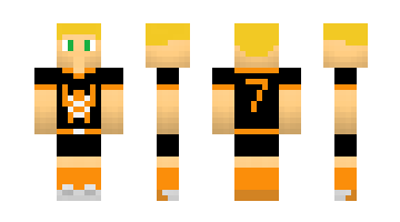 Skin Opol