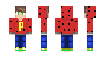 Skin PagHapok