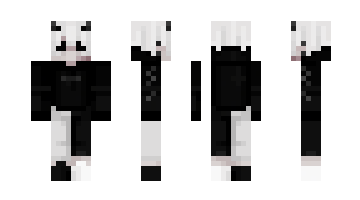 Skin Pauprogamer