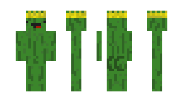 Skin Pickle1007