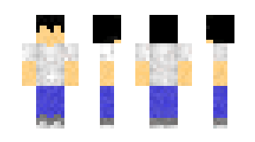 Skin PieterPost71