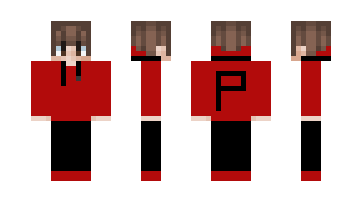 Скин Progamerks