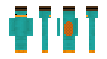 Skin Pu00