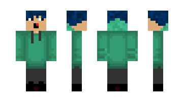Скин Punky10