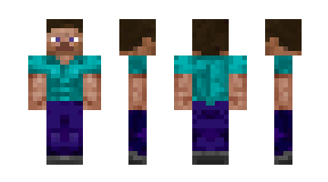 Skin PurpleBush