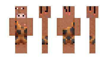 Skin Qito