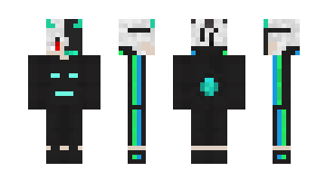 Skin RIBR