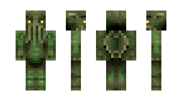 Skin RIKKo
