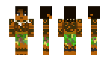 Skin Rafty31249