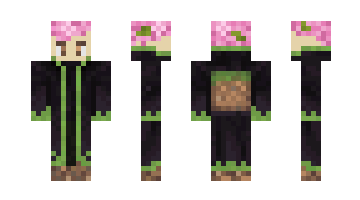 Skin RealLoganP