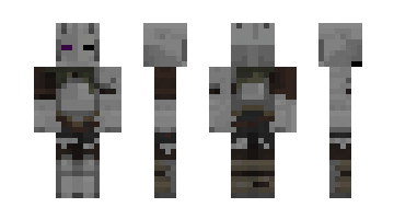 Skin Riggs26