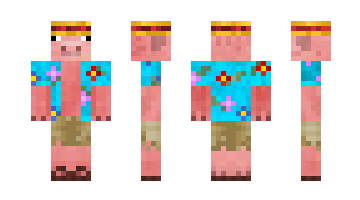 Skin RobinM67