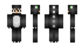 Skin Rodrigo2