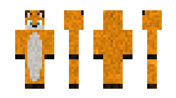 Skin Rozi4