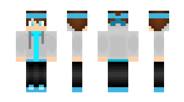 Skin RyanSilverShield