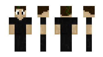 Skin Ryn440