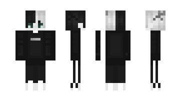 Skin SER11