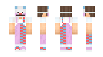 Skin SHULKER