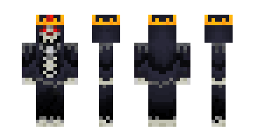 Skin SKELETOR9545