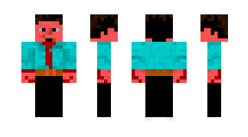 Skin STEFAN