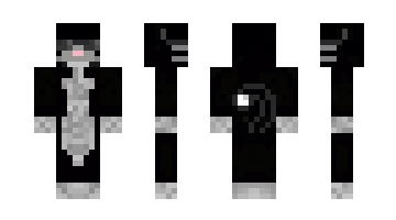 Skin Sainpvp