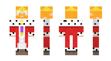 Skin Shario22