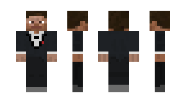 Skin ShayFanX17