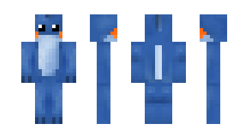 Skin Sidge