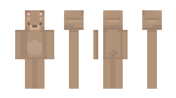 Skin SolarEclipseDuck