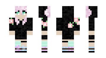 Skin StalkerEnte9984