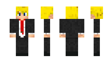 Skin Stece