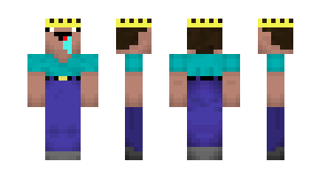 Skin Steveop