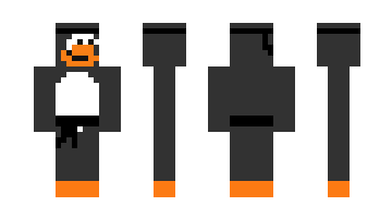 Skin Steverobot