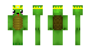 Skin Steves