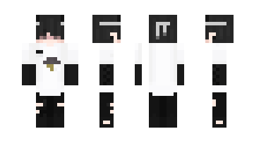 Скин TTcux
