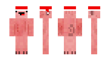 Skin Teampig