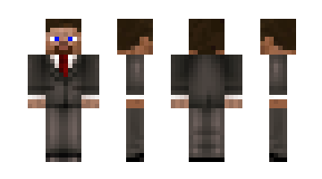 Skin Terraria