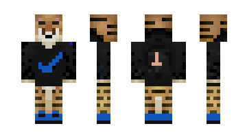 Skin TigerCraft5