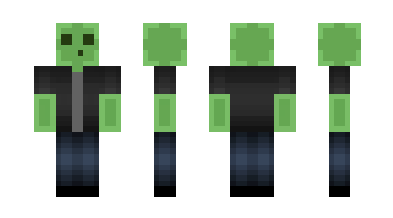 Skin TooManyTurtle