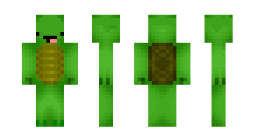 Skin TurtleShack