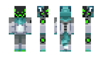 Skin TurtleVRC