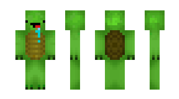 Skin TurtlezGang