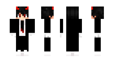 Skin V1xerr