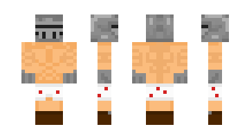 Skin V3CTIC