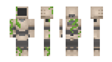 Skin Vek