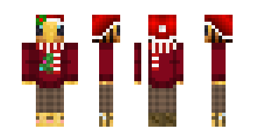 Skin WIX3Y