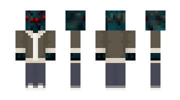 Skin Wwebz